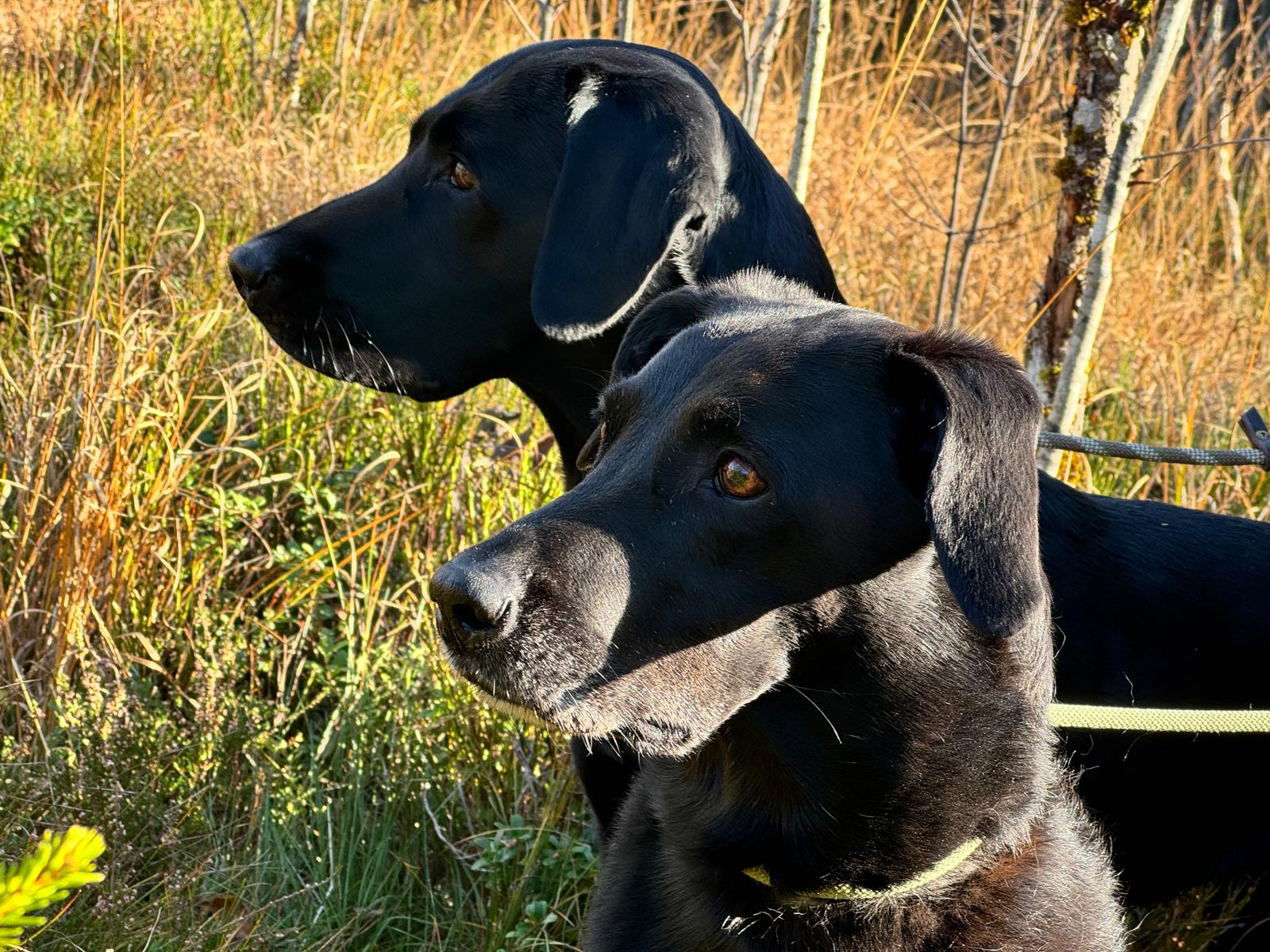 WhatsApp Image 2025 10 14 at 17.55.14