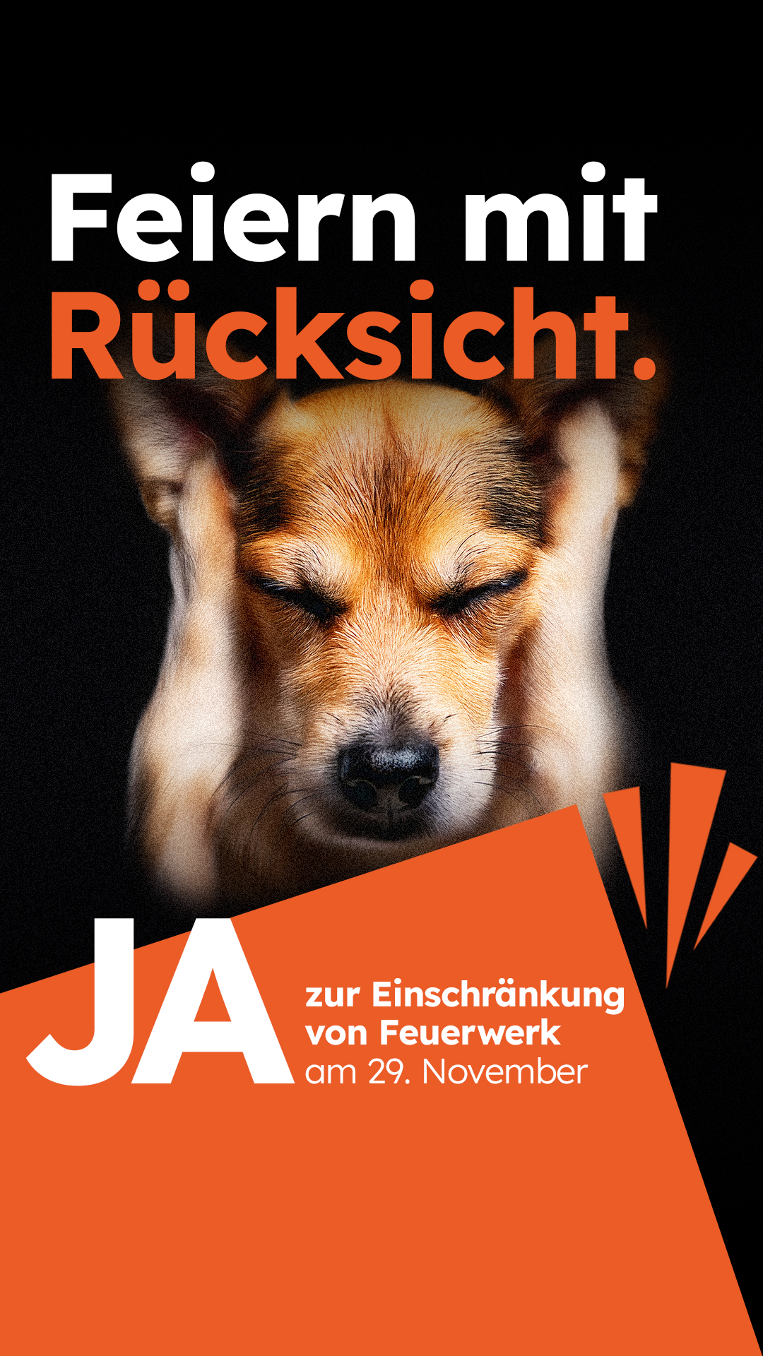 2026 feuerwerksinitiative