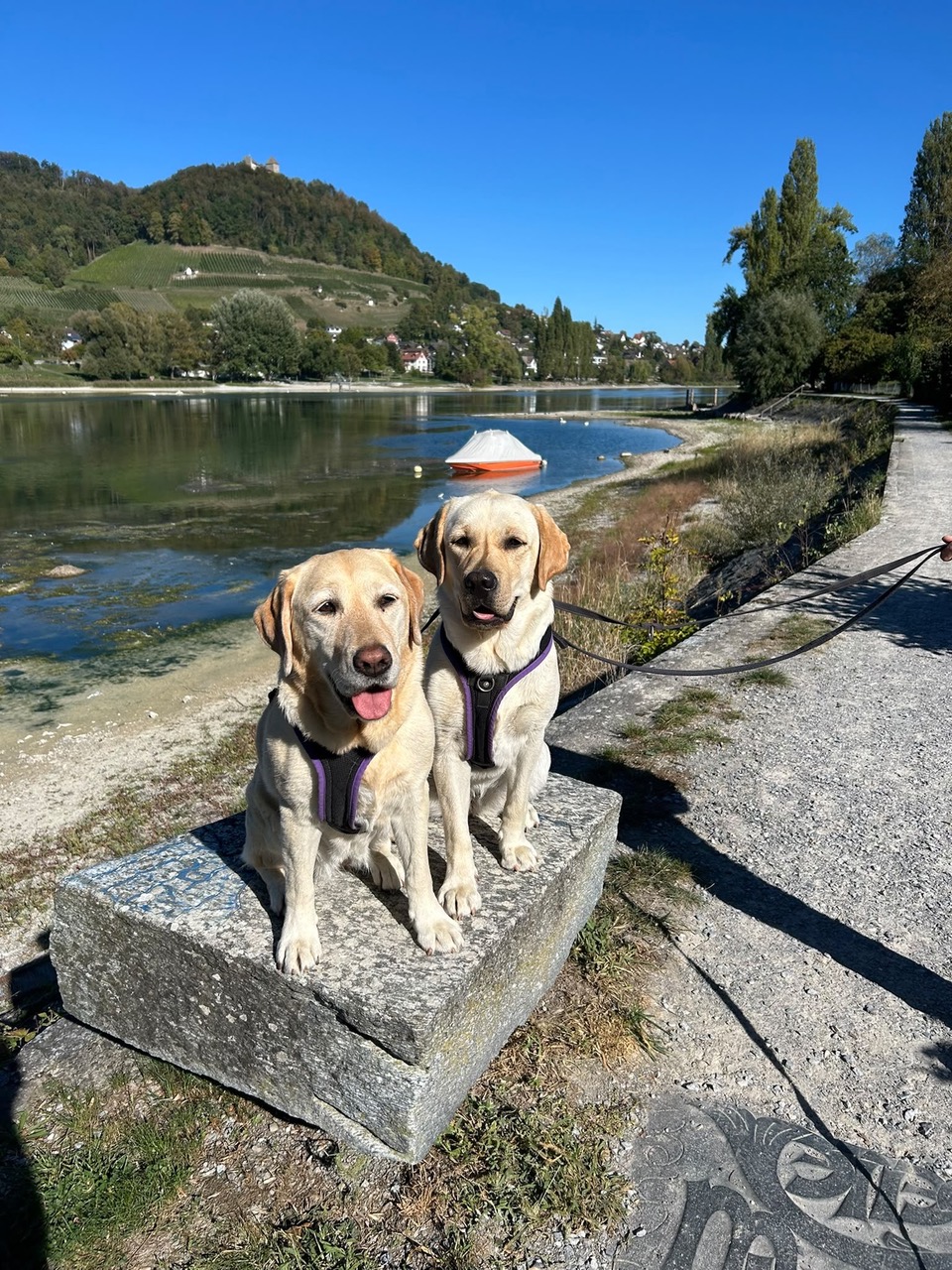 RGZ Herbstwanderung5